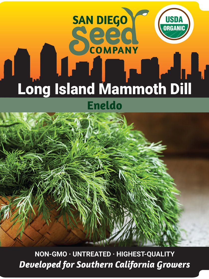 Long Island Mammoth Dill Organic Seeds