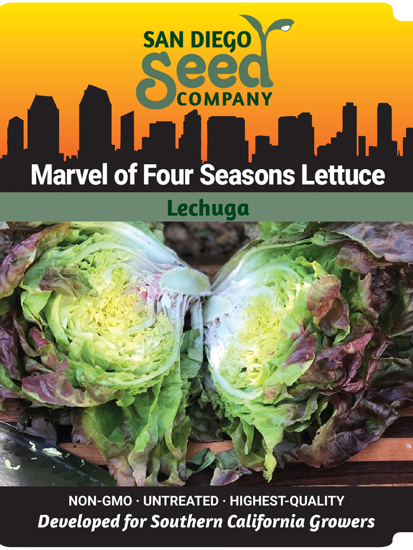 Marvel of Four Seasons Lettuce Seeds