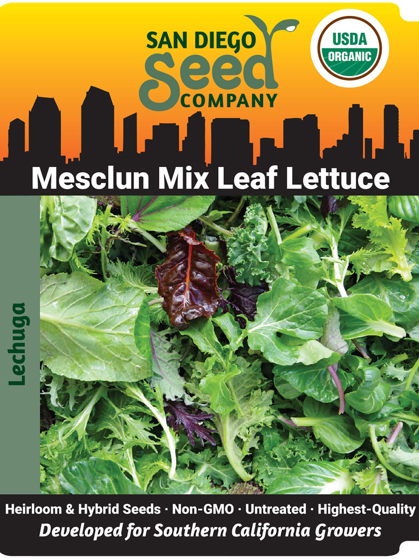 Mesclun Mix Leaf Lettuce Organic Seeds