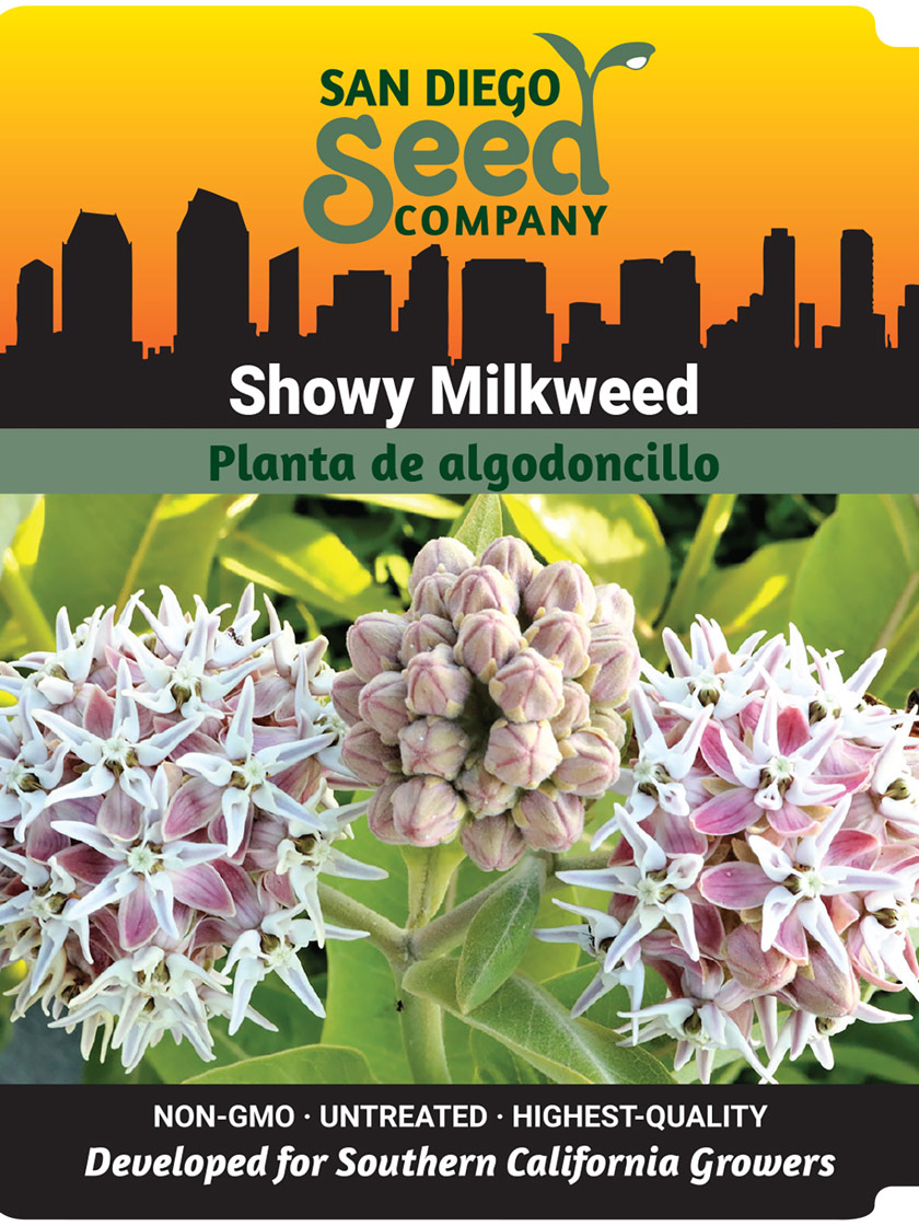 Showy Milkweed Seeds