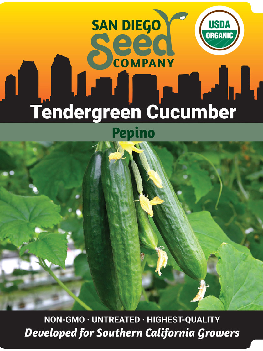 Tendergreen Cucumber Organic Seeds