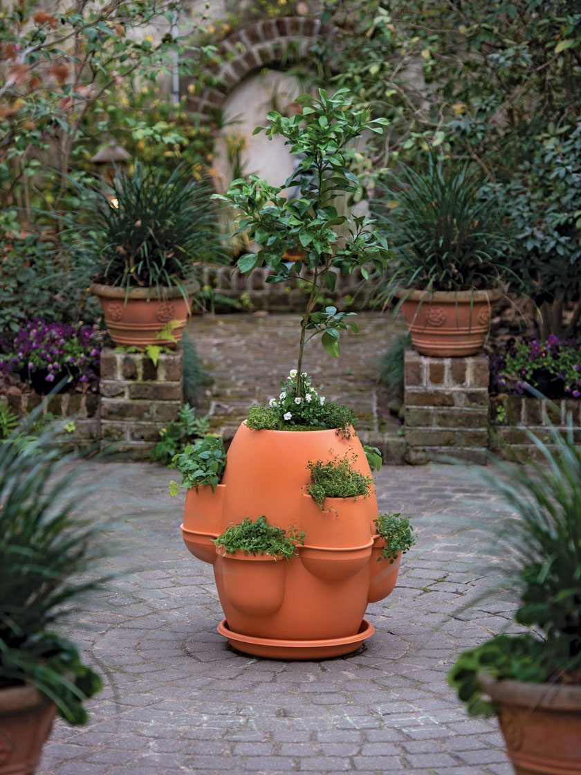 Grandma's Garden Terracotta Plant Pot 