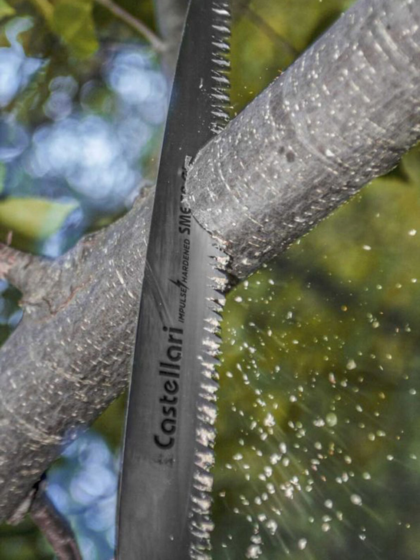 Castellari Pruning Saw with Sheath, 12"