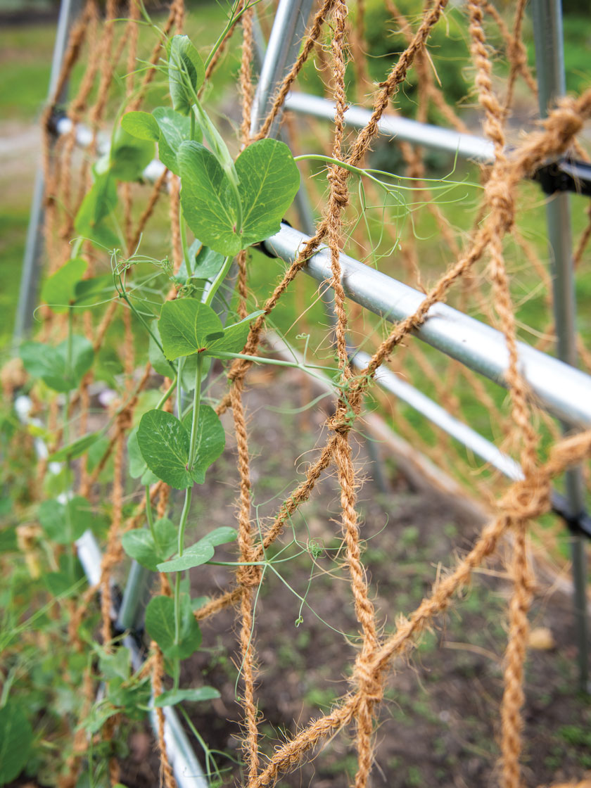Coco Trellis Netting, 4' x 15'