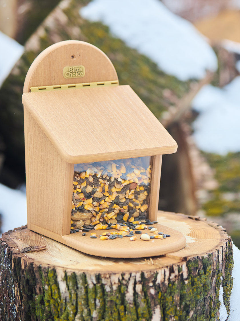 Spruce Creek Squirrel Munch Box
