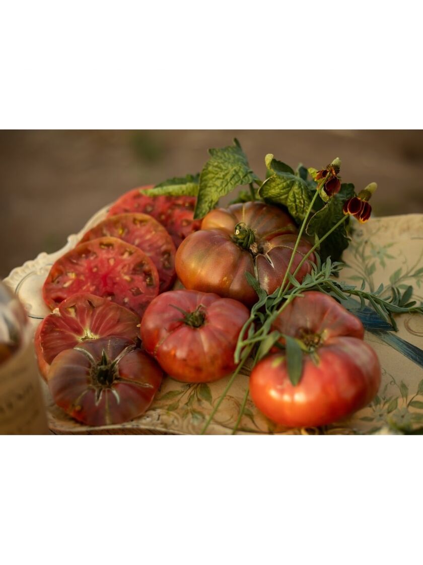 Dwarf Tomato, Rosella Purple Organic Seeds