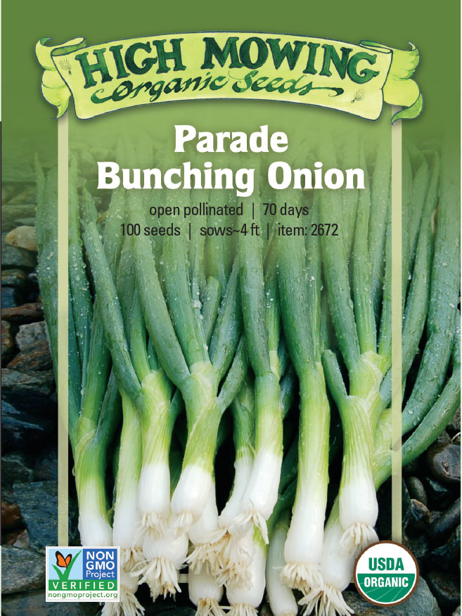 Parade Bunching Onion: 100 SEEDS | Gardener's Supply
