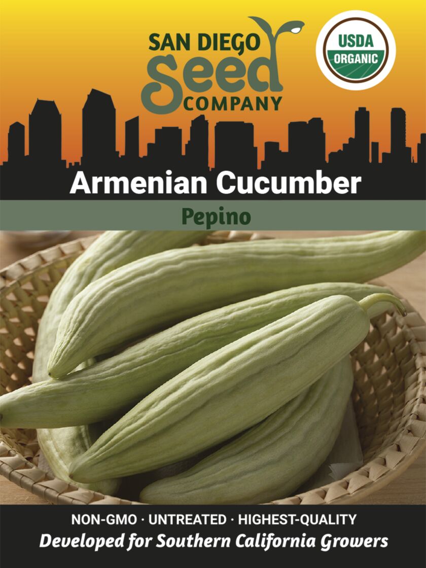 Armenian Cucumber Organic Seeds